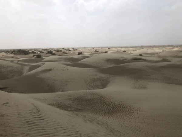 寶山區(qū)刑事律師來講講信用卡在ATM機上忘拿走被他人取錢怎么辦