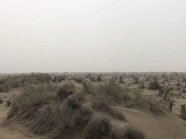 什么表現(xiàn)才算犯罪中止？徐匯區(qū)刑事律師為大家解析犯罪中止的具體表現(xiàn)