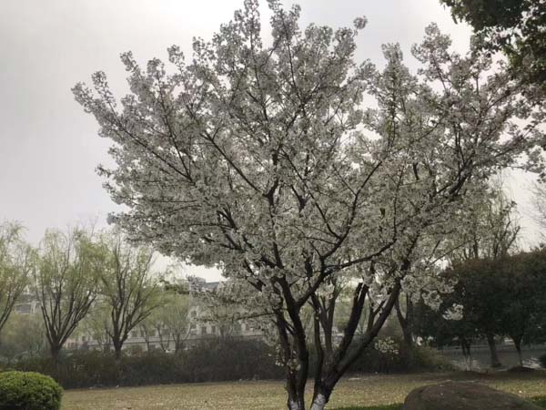 上海刑事會見律師來講講會見時(shí)能否讓當(dāng)事人用律師手機(jī)與外界通話