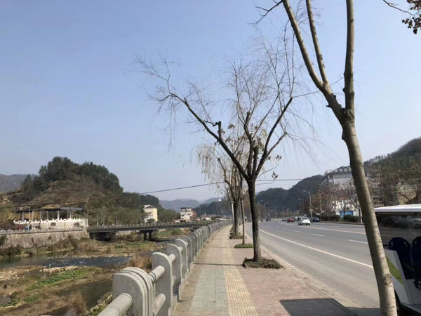 網(wǎng)上購物商城運(yùn)營半年傳銷層級達(dá)46層！上海刑事律師咨詢網(wǎng)帶您了解