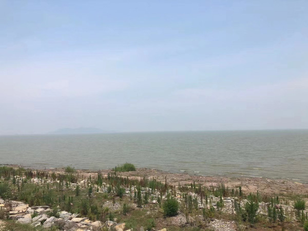 如何認定參加黑社會性質(zhì)組織罪中的參加行為？上海刑事犯罪律師來回答