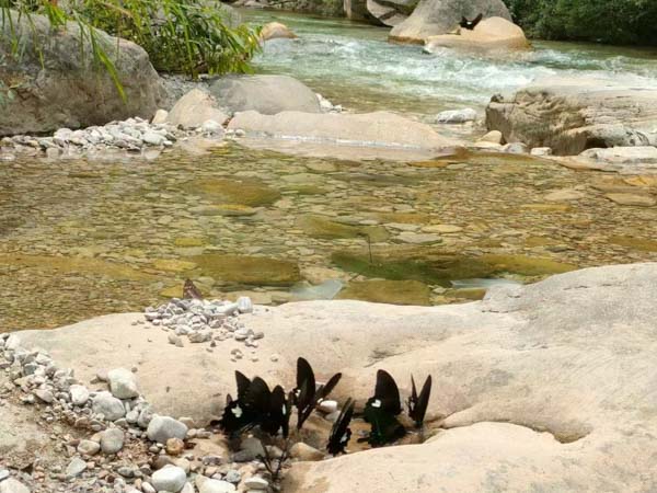 偵查人員以親屬的安危威脅被告人的證據(jù)是否有效？普陀區(qū)刑事律師告訴您