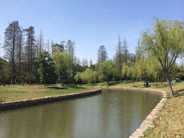 徐匯區(qū)刑事律師解答什么是組織越獄罪？構(gòu)成組織越獄罪的要件有哪些？