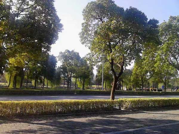 對于一些違法犯罪未遂犯，應(yīng)該怎樣進(jìn)行處罰呢？聽聽青浦區(qū)刑事律師的說法