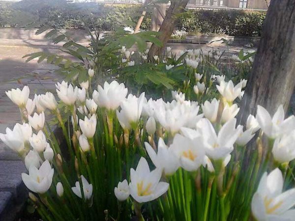 盜竊自己借給別人的東西在司法實踐中是盜竊嗎？上海刑事律師事務(wù)所來回答