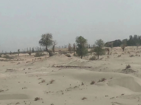 上海市的刑事律師來講講拒不執(zhí)行轉(zhuǎn)移隱匿財產(chǎn)找不到人怎么辦