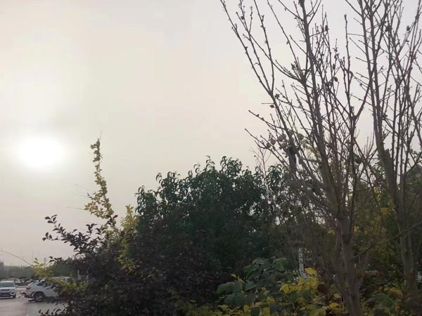 上海刑事律師網(wǎng)來講講承運(yùn)過程中承運(yùn)人將承運(yùn)貨物暗中調(diào)包該如何定性