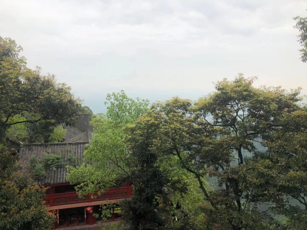 上海刑事律師團(tuán)隊(duì)來(lái)講講利用職務(wù)便利盜賣單位游戲裝備如何定罪處罰