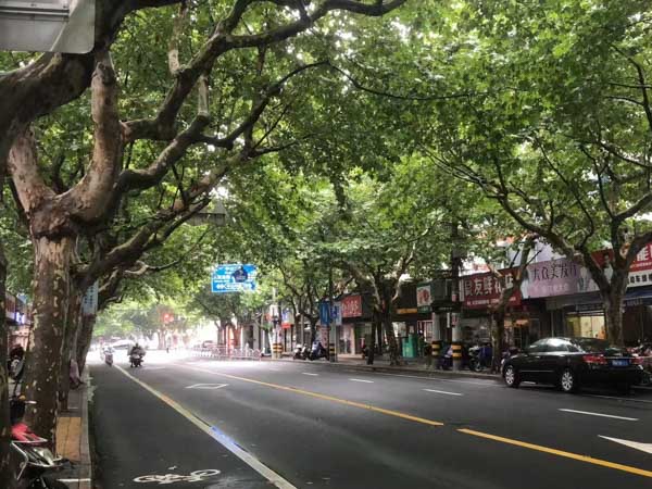 持假槍搶劫會(huì)被法院認(rèn)定為持槍搶劫嗎？上海死刑辯護(hù)律師來(lái)回答