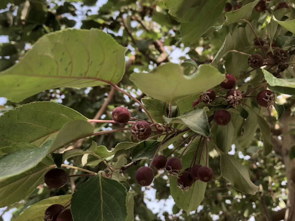 盜竊自己借給別人的東西在司法實踐中是盜竊嗎？上海刑事律師事務(wù)所來回答