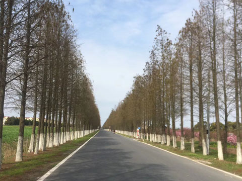 犯罪集團應(yīng)當具備哪些條件