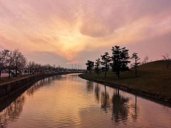 上海申請取保候?qū)徛蓭熧M(fèi)需要多少