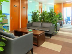 <b>閔行區(qū)刑事律師解讀:經(jīng)濟(jì)案件判刑后是否還需還錢(qián)</b>